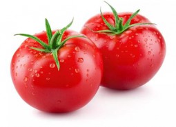 西紅柿（番茄）冷庫儲存方法介紹，這樣放保鮮一個月！